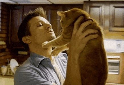 主人双手抱着猫猫亲吻gif图片