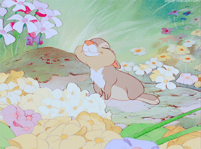 小兔子陶醉表情动画图片:兔子,陶醉