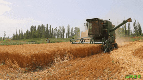 大型收割机收麦子gif图片