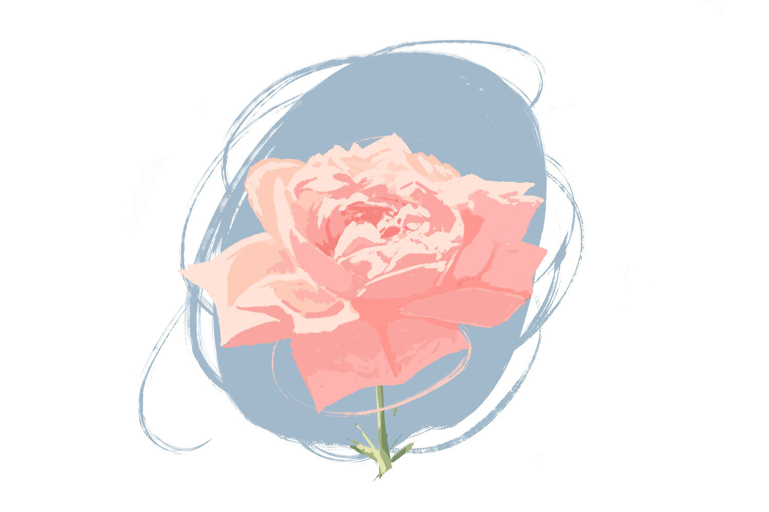 绽放的玫瑰GIF图片:绽放,玫瑰