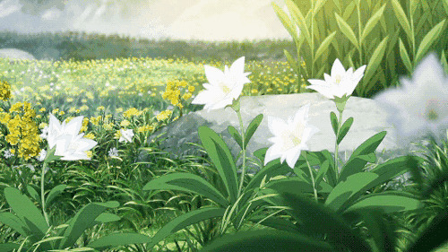 随风飘动的花朵动画图片:鲜花