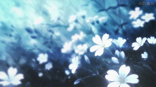 唯美的白色小花GIF素材:花朵,素材图片
