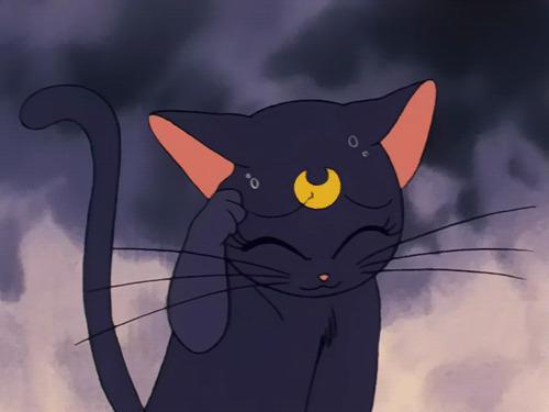可爱的卡通小黑猫不停的挠头gif图片:小黑猫