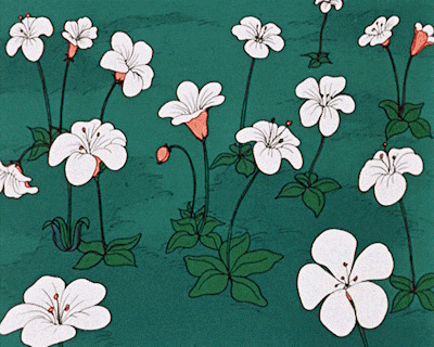 花朵竞相开放动画图片:花开
