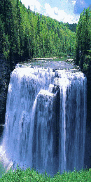 唯美的森林大瀑布GIF图片:瀑布