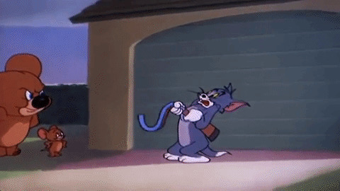 可爱的卡通老鼠拿枪指着老鼠害怕的样子gif图片:老鼠,猫和老鼠