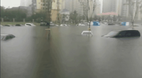 这得多大雨GIF图片