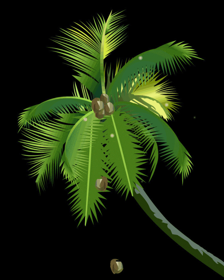 椰子树椰子掉落动画图片:椰子树