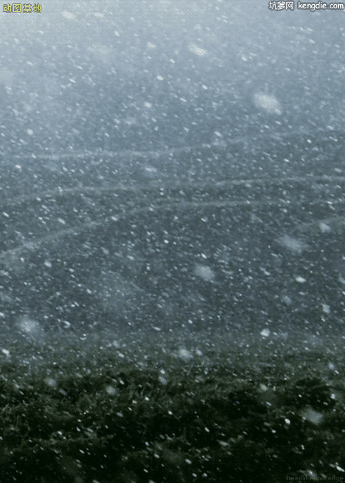 鹅毛大雪肆虐动态图片:下雪