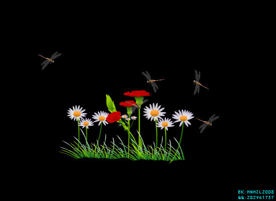 蜻蜓飞来花丛中动画图片:蜻蜓