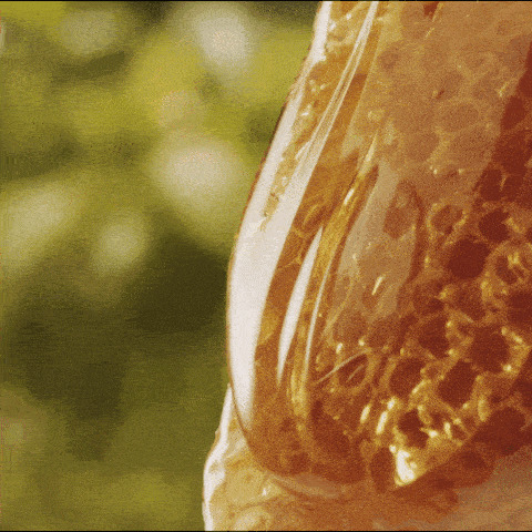 流淌的蜂蜜GIF图片:蜂蜜