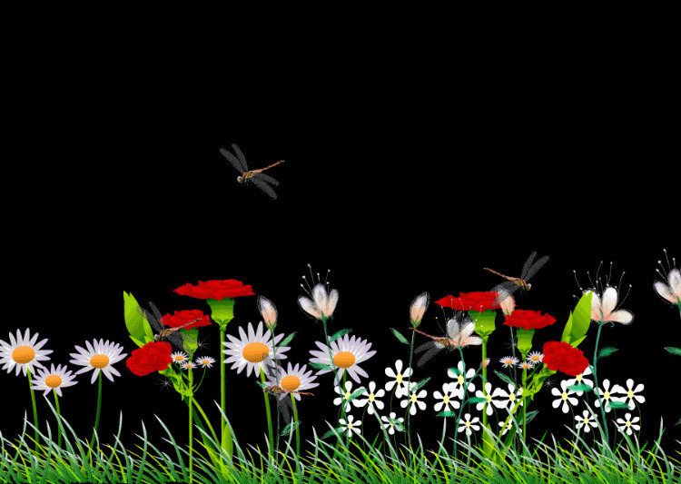 蜻蜓在飞舞GIF图片:蜻蜓,风景