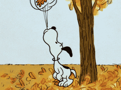 一只可爱的卡通小狗狗在树下吹落叶gif图片:小狗狗,史努比