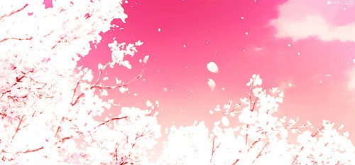 被风吹落的樱花GIF图片:吹落,樱花
