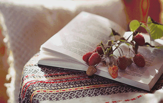 唯美水果与书本GIF图片:书本,水果