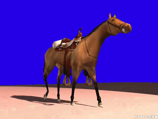 摇头晃脑的马GIF图片:摇头,马