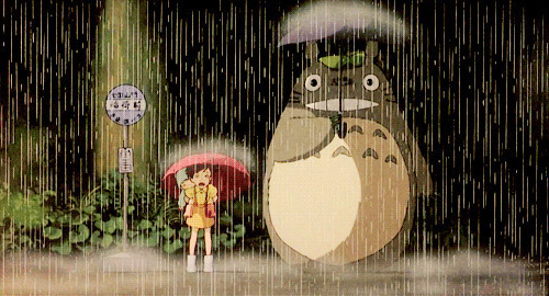 大雨中的龙猫GIF图片:大雨,龙猫