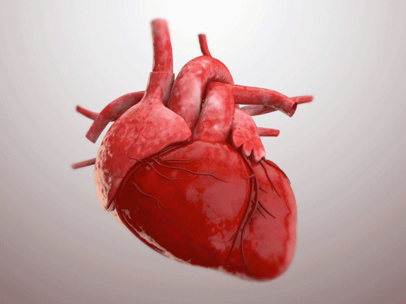跳动的心脏GIF素材图片:心脏