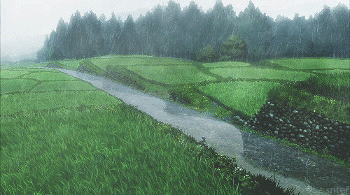雨下的田野GIF图片:下雨,田野