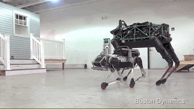 机器狗训练动态图片:机器人