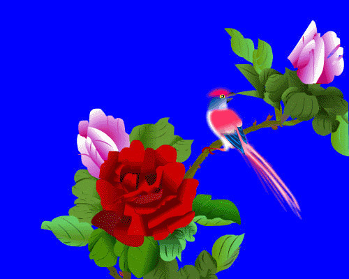 鸟儿玫瑰花上唱歌动画素材:小鸟,玫瑰花