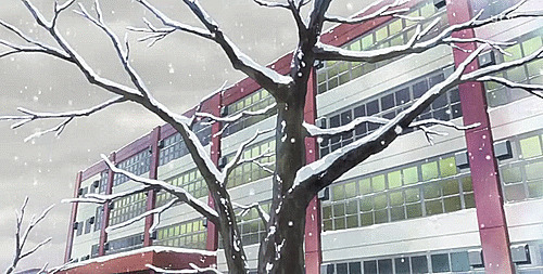 枯萎枝头上的积雪动画图片:下雪,雪景