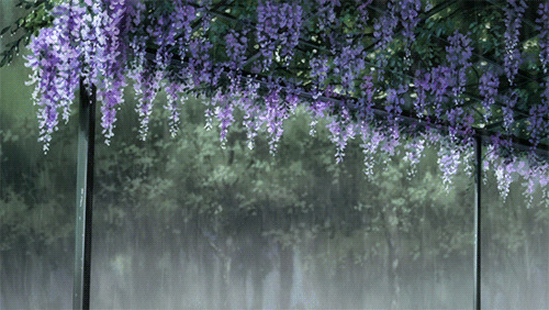 树林中一场大雨GIF图片:下雨,雨水