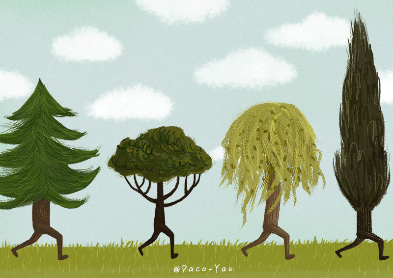 森林的树木奔跑动画图片:树木