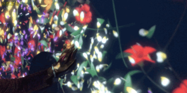 触摸松散的花卉GIF图片:花卉
