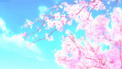 樱花树上飘落的花瓣动画图片:花瓣,樱花