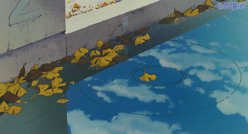 秋叶落入水中激起一层层波纹gif图片
