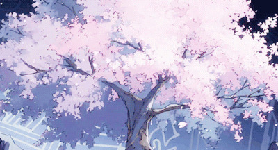 唯美樱花树飘落的花瓣动画图片:花瓣,樱花