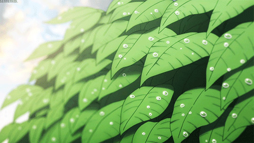 叶子上滴落的小露珠GIf素材图片:露珠,绿叶