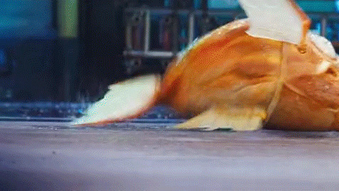 一只小金鱼在地上蹦蹦跳跳gif图片:金鱼