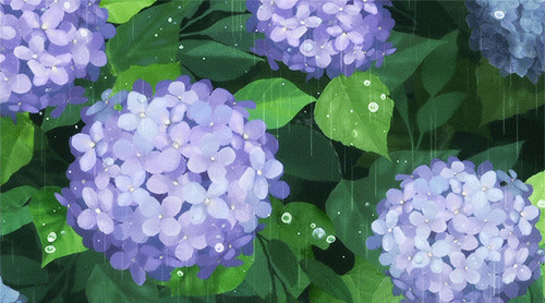 雨中的花朵动画图片:下雨,鲜花