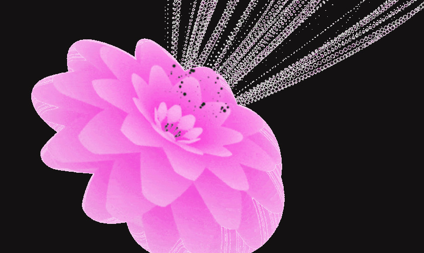 鲜花吐花蕊GIf素材图片:花蕊