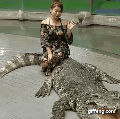 穿裙子的胖女神坐在鳄鱼的背上gif图片:鳄鱼