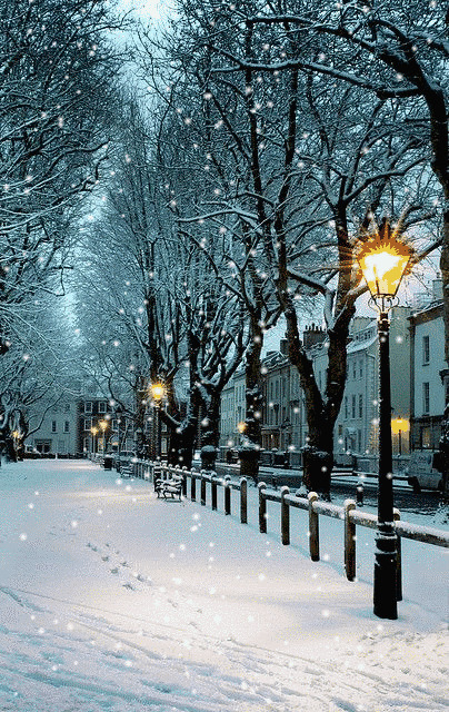 唯美的雪景GIF素材图片:下雪,雪景
