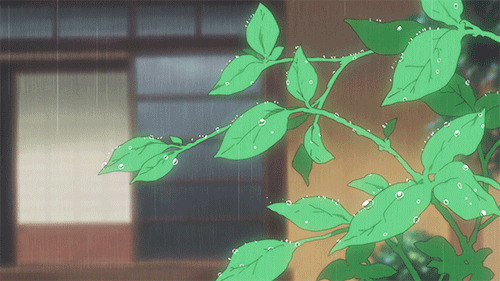 雨中的绿叶动画图片:树叶,下雨