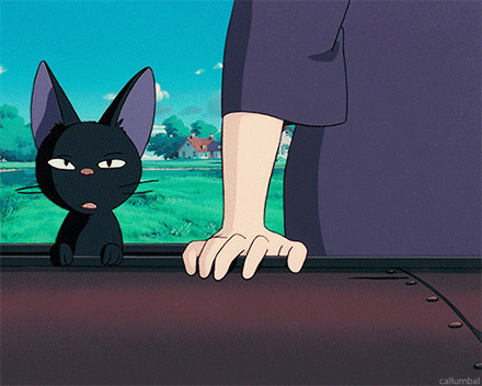 陪主人一起吹风的小黑猫gif图片