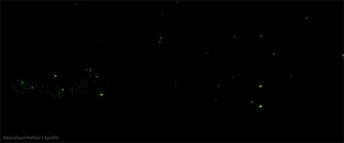 漫山遍野的萤火虫动画图片:萤火虫
