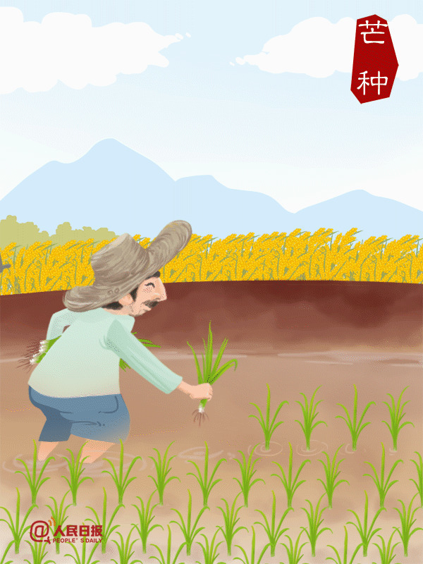 卡通农民伯伯插秧种稻谷gif图片