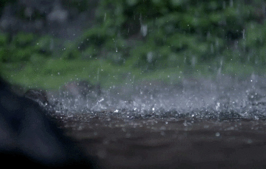 清澈的雨水动态图片:雨水,下雨