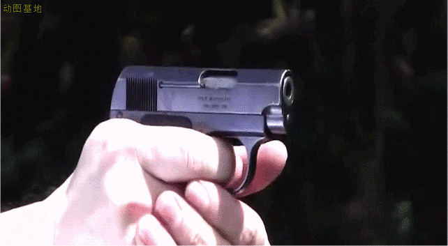 一支小手枪GIF图片:手枪