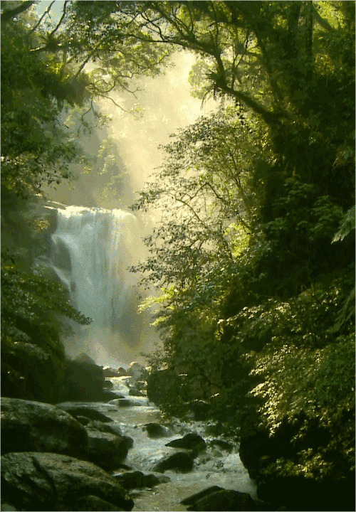 山林深处有瀑布唯美动态图片:瀑布