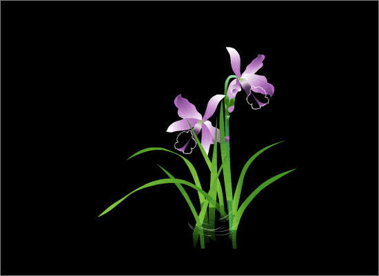 唯美的紫色花GIF素材:花开