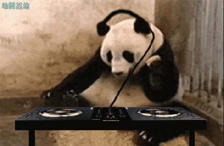 大熊猫不停的摇头听音乐gif图片:大熊猫