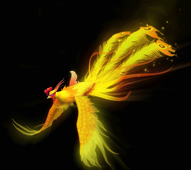 一只在黑夜中飞舞的火凤凰gif图片
