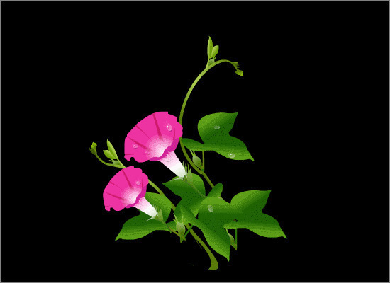 唯美喇叭花GIF素材图片:鲜花
