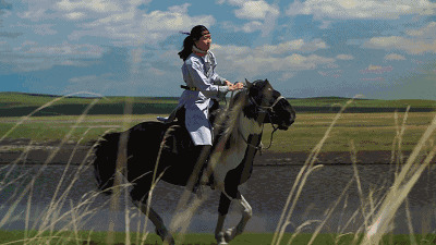 帅气的小伙子在草原上骑着骏马gif图片